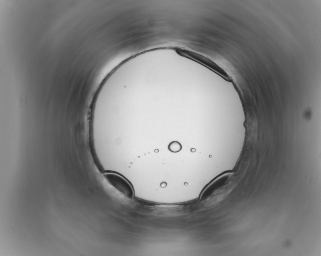 X0000089851151200707262102