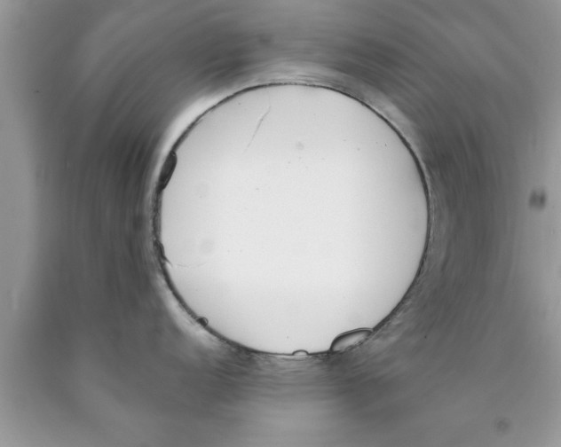 X0000089851152200707262102