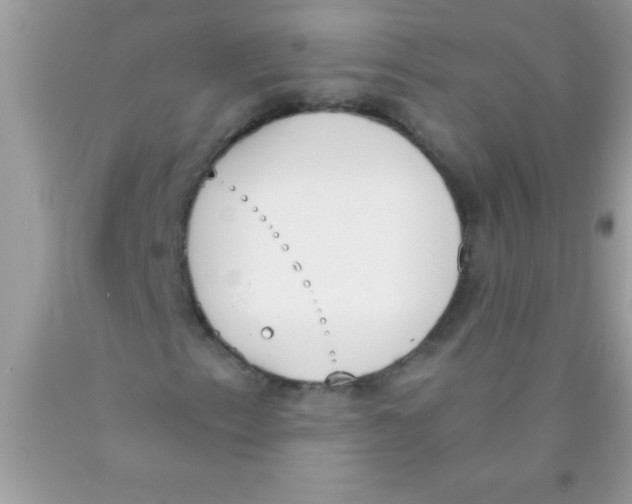 X0000089851153200707262101