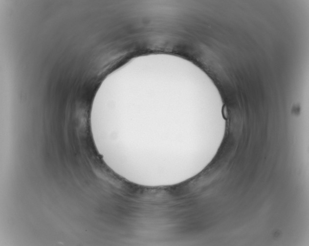 X0000089851154200707262101