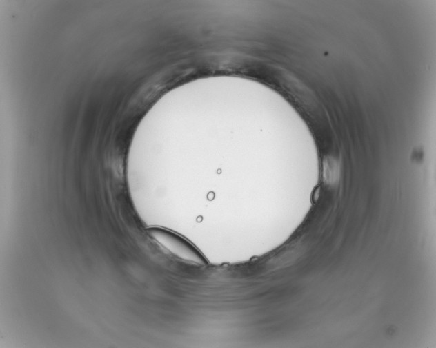 X0000089851155200707262101