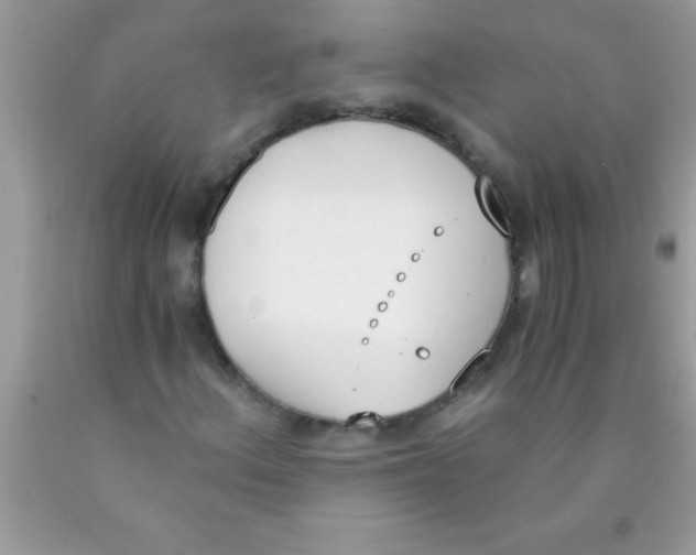 X0000089851156200707262101