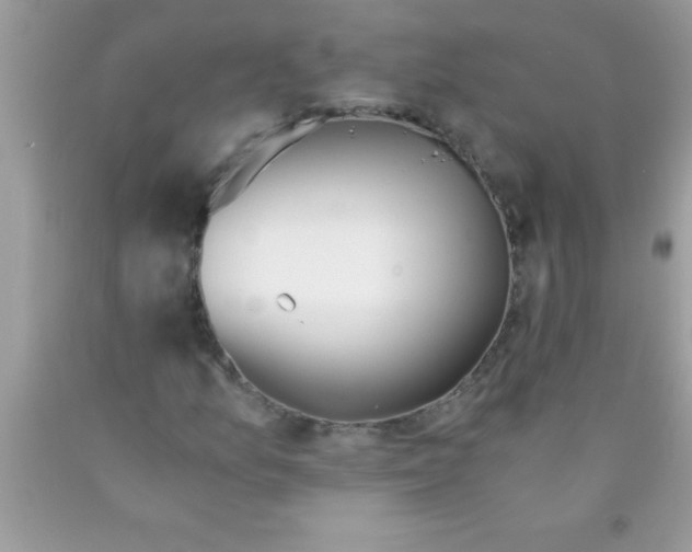 X0000089851157200707262101