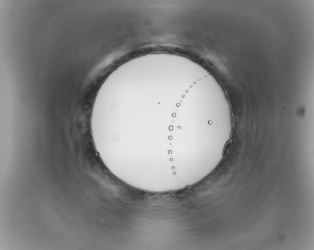 X0000089851159200707262101