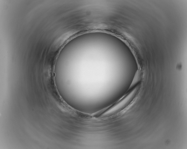 X0000089851161200707262101