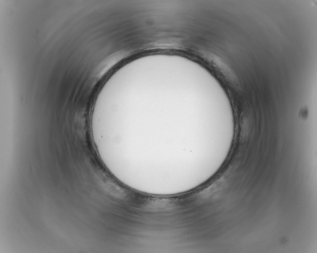 X0000089851162200707262101