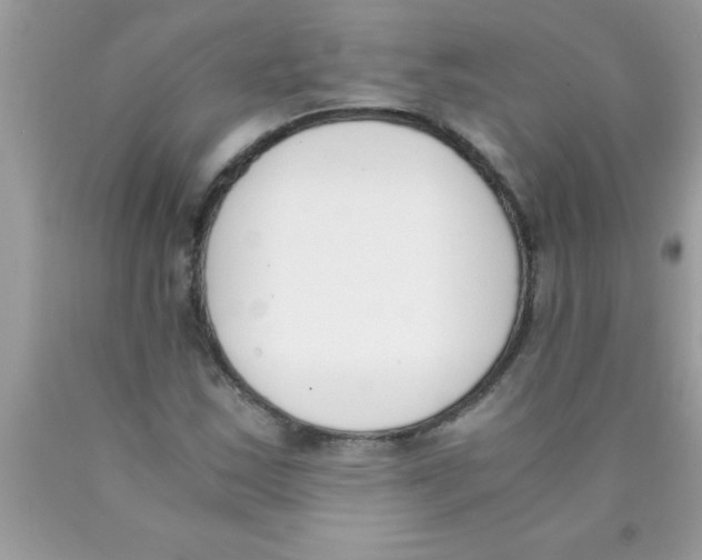 X0000089851163200707262101