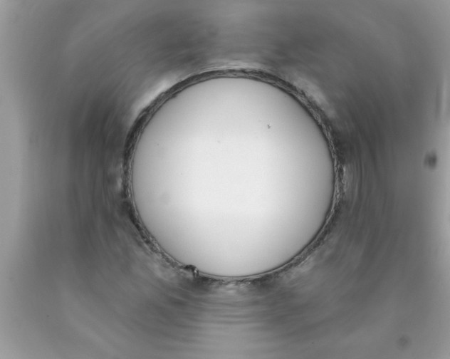 X0000089851165200707262101