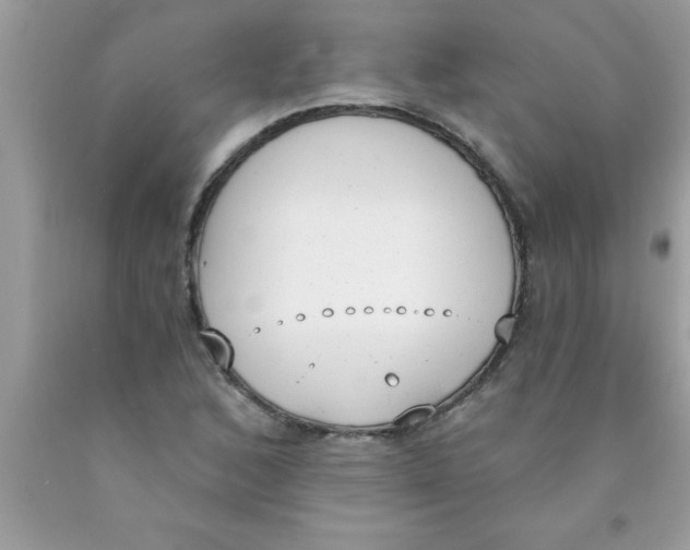 X0000089851168200707262101