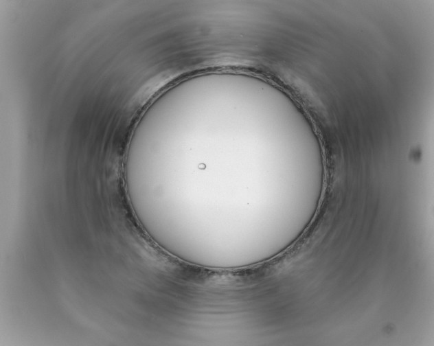 X0000089851169200707262101