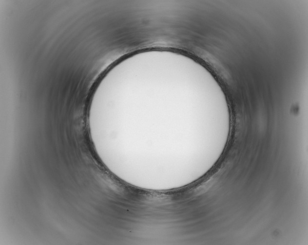 X0000089851170200707262101