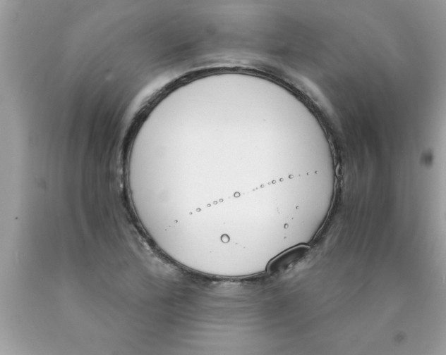 X0000089851172200707262101