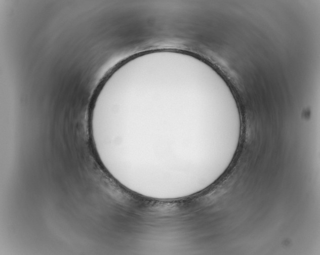 X0000089851174200707262101