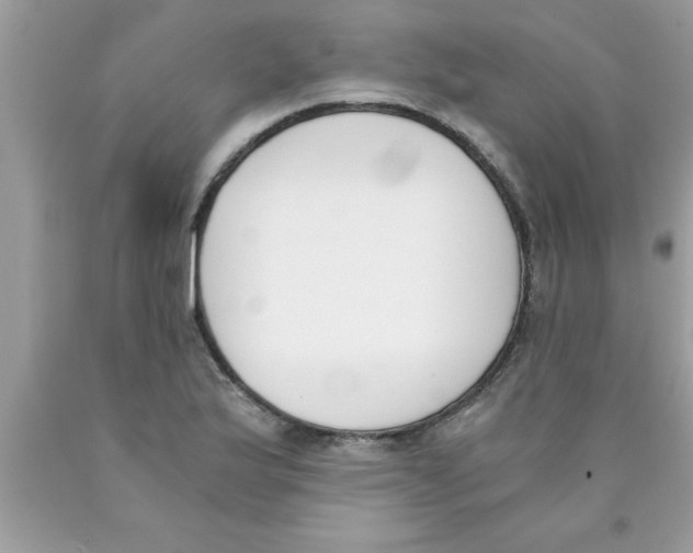 X0000089851175200707262101