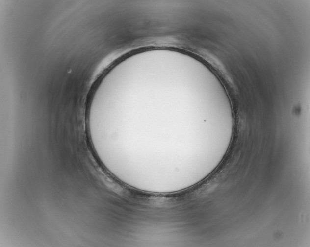 X0000089851176200707262101