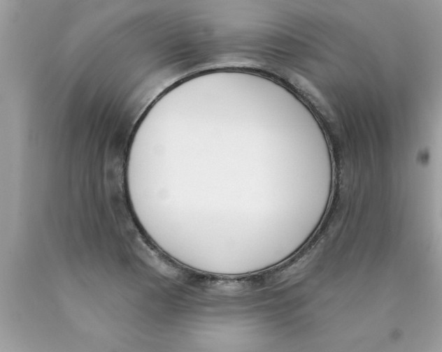 X0000089851177200707262101