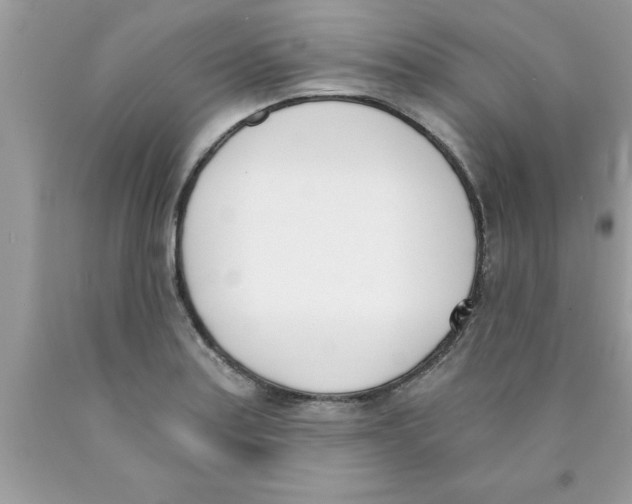 X0000089851179200707262101