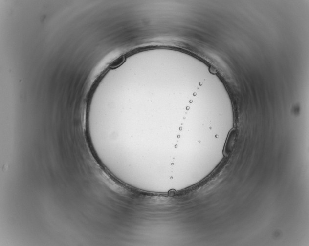 X0000089851180200707262101