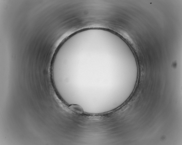 X0000089851181200707262101