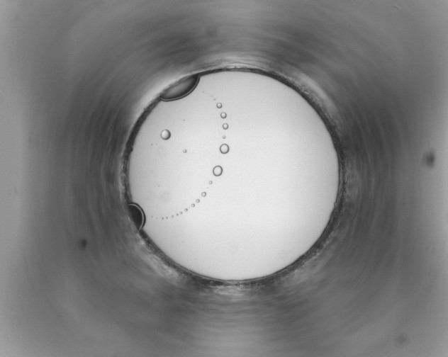 X0000089851182200707262101