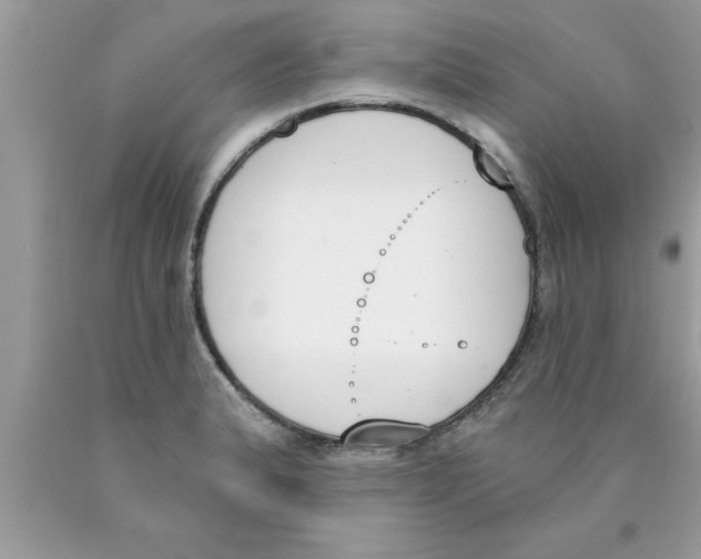 X0000089851183200707262101