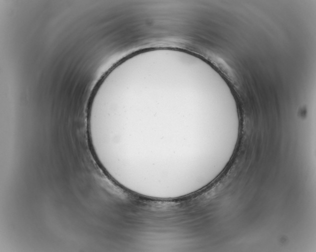 X0000089851184200707262101