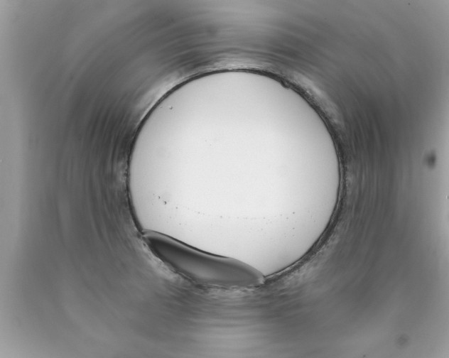 X0000089851185200707262101