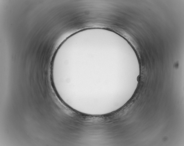 X0000089851187200707262101