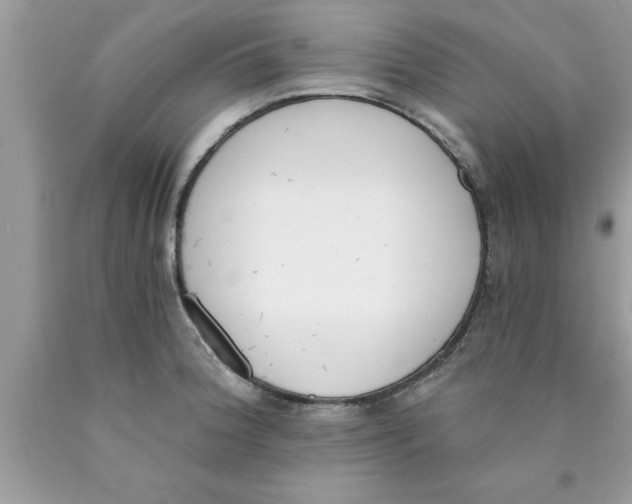 X0000089851188200707262101