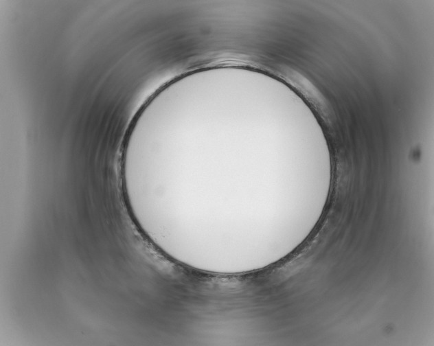 X0000089851190200707262101