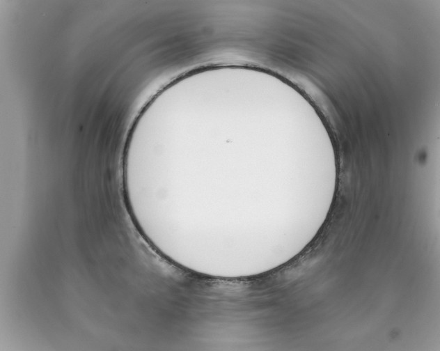 X0000089851191200707262101