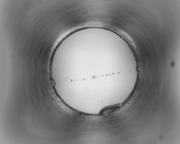 X0000089851192200707262101