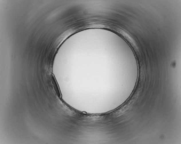 X0000089851193200707262101