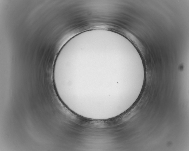 X0000089851194200707262101