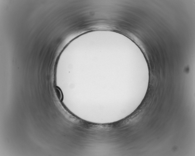 X0000089851195200707262101