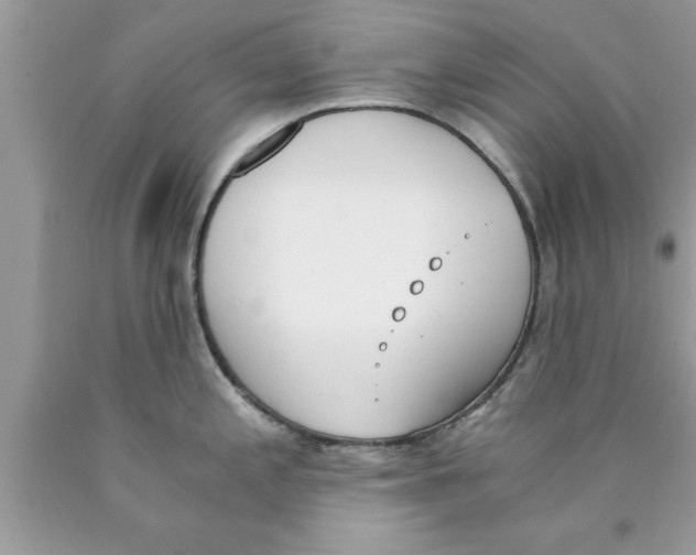 X0000089851197200707262101