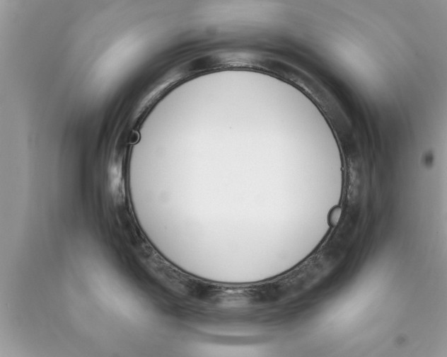 X0000089851198200707262101