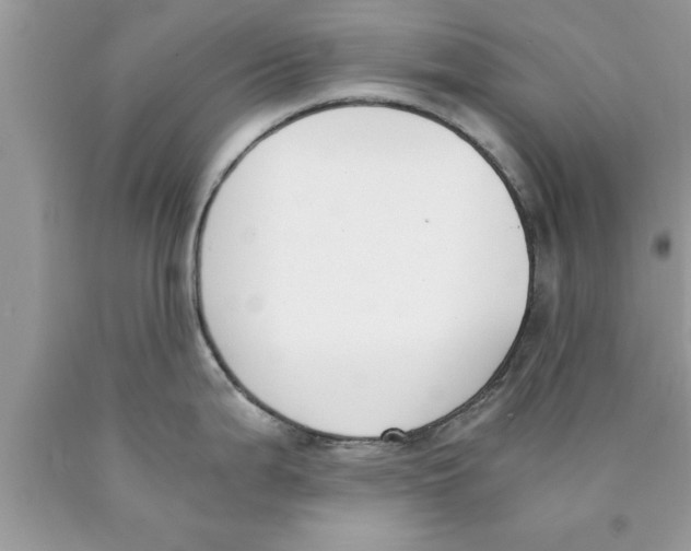 X0000089851199200707262101