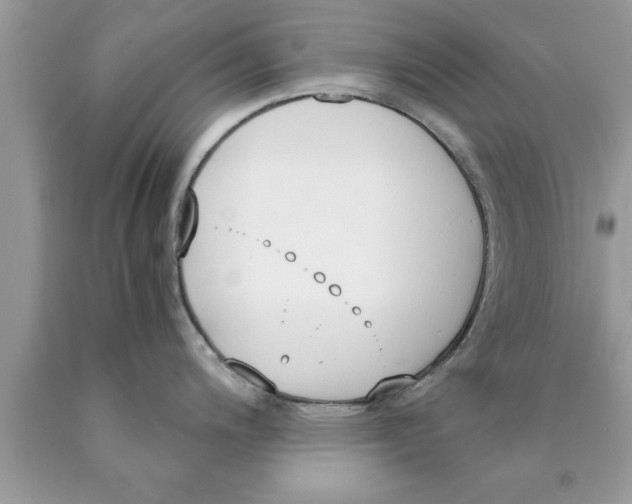 X0000089851200200707262101