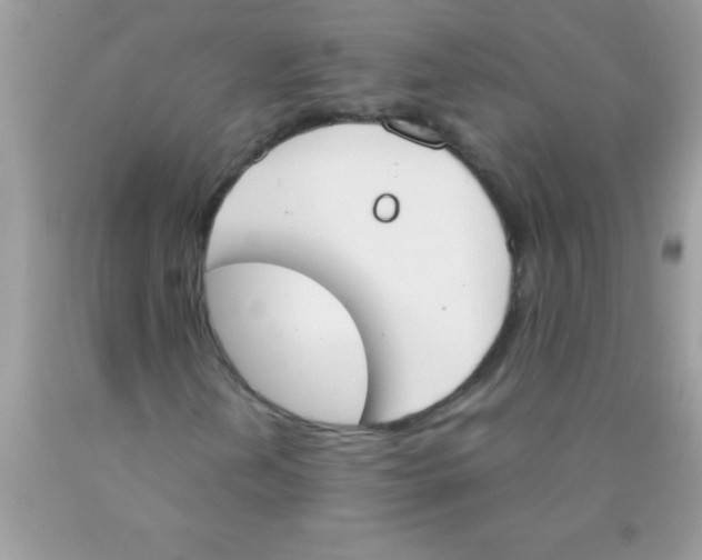 X0000089851202200707262100