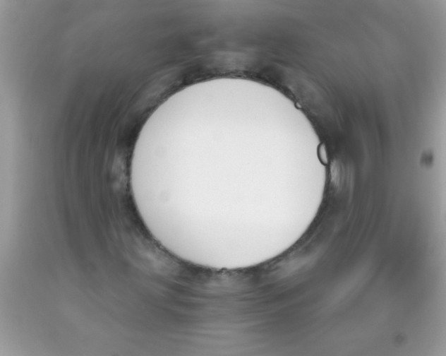 X0000089851203200707262100