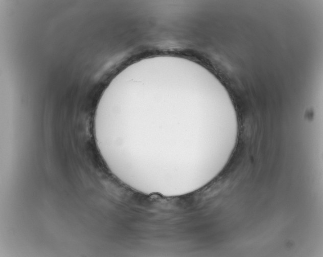 X0000089851205200707262100