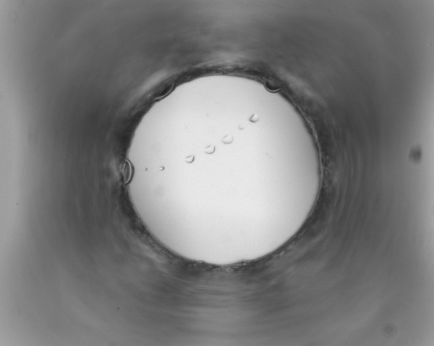 X0000089851206200707262100