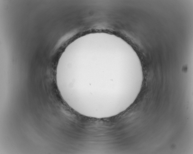 X0000089851207200707262100