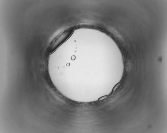 X0000089851208200707262100