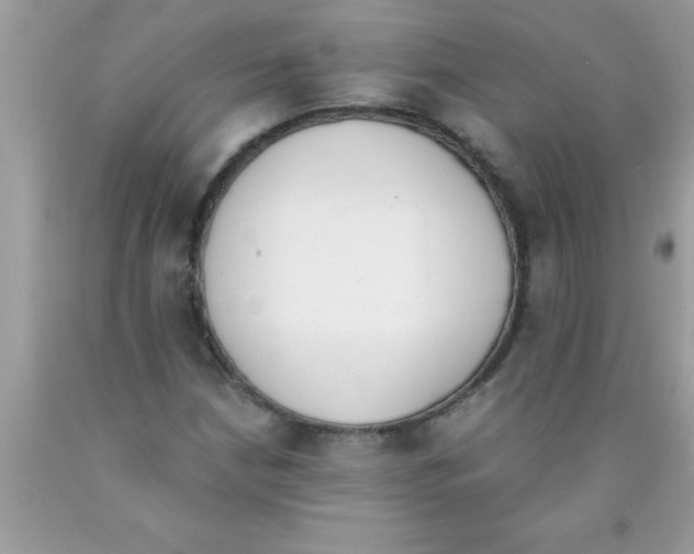 X0000089851210200707262100