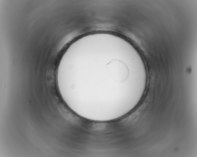 X0000089851211200707262100