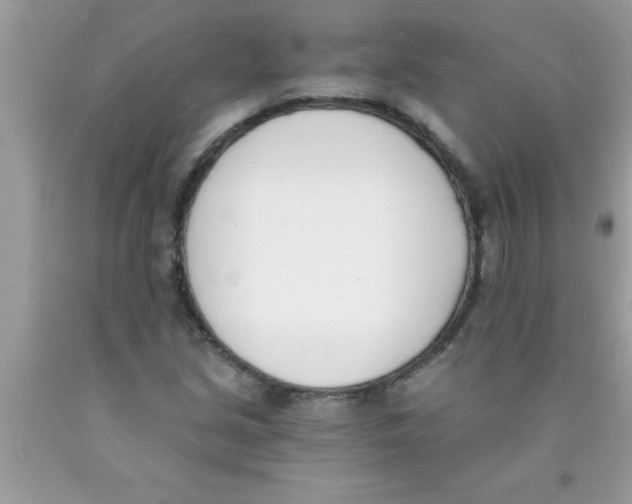 X0000089851213200707262100