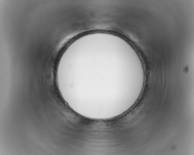 X0000089851214200707262100