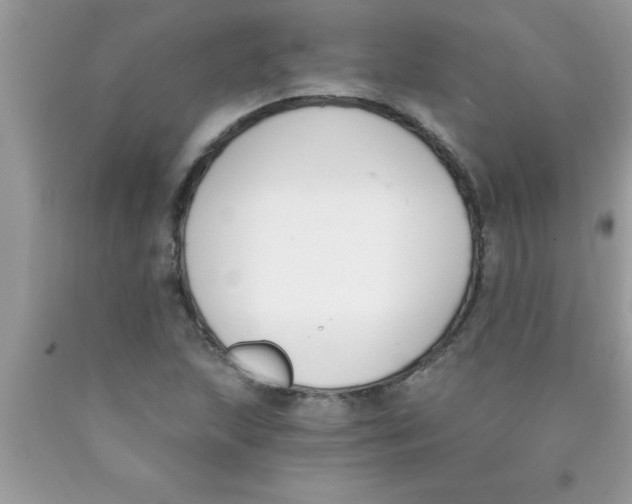 X0000089851215200707262100